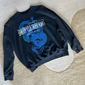 Anine Bing Jaci Viper Sweatshirt in Washed Black